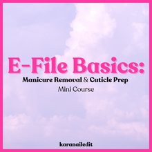 Load image into Gallery viewer, E-File Basics Course
